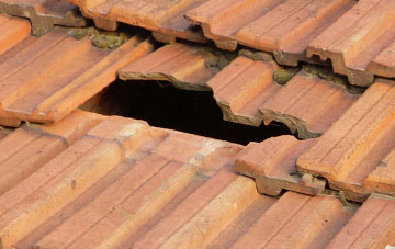 roof repair Lower Green