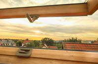 rated Lower Green roof window companies